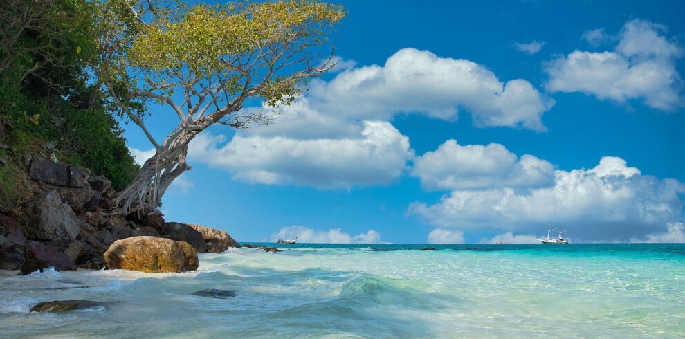 beach, sea, sand-4852830.jpg